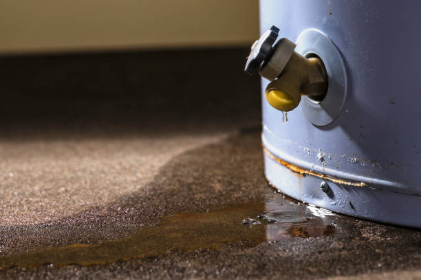 Best Fire Damage Restoration  in Fortuna, CA