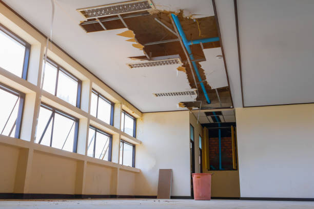Best Professional water damage repair  in Fortuna, CA