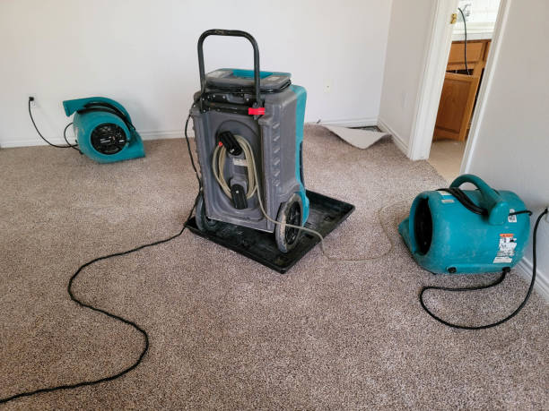 Best Commercial water damage restoration  in Fortuna, CA