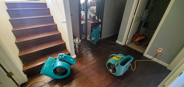 Best Water damage restoration specialists  in Fortuna, CA