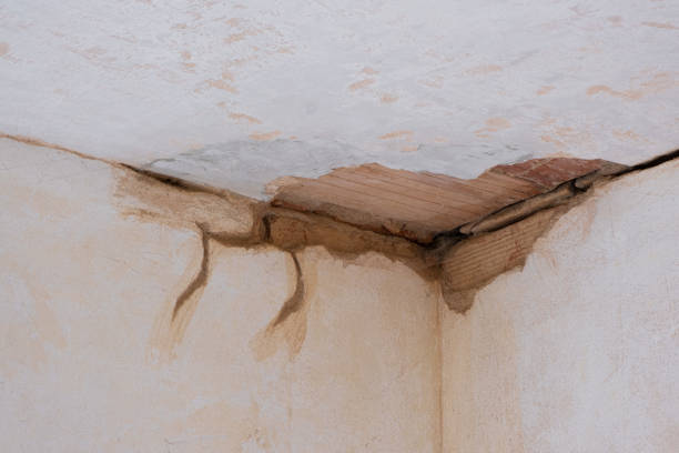 Best Emergency water damage restoration  in Fortuna, CA