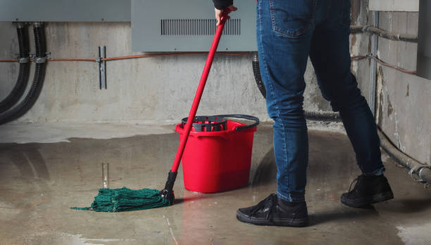 Best Residential water damage restoration  in Fortuna, CA