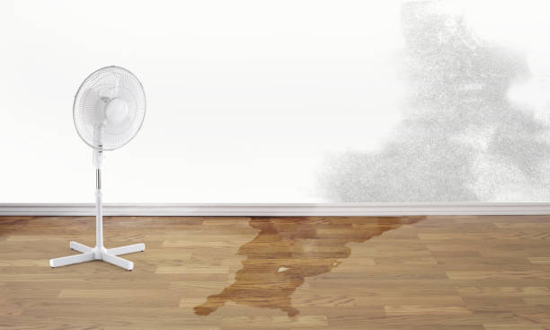 Best Water damage cleanup near me  in Fortuna, CA