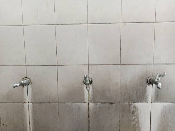 Best Water damage mitigation services  in Fortuna, CA
