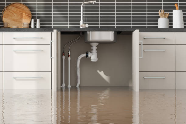 Best Flooded house restoration  in Fortuna, CA