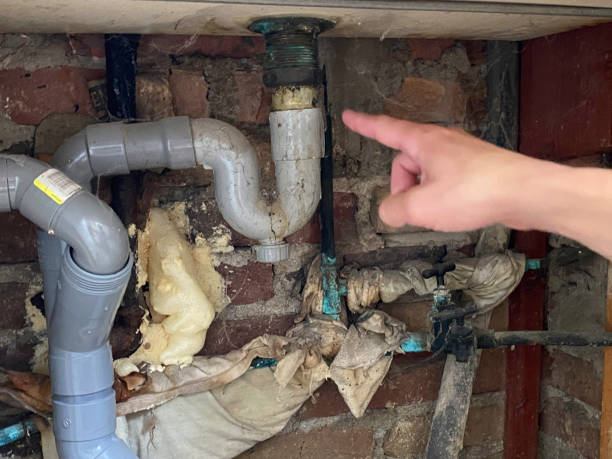 Best Water damage restoration near me  in Fortuna, CA