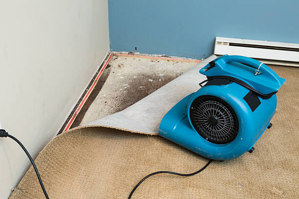 Best Sewage cleanup and water damage restoration  in Fortuna, CA